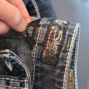 Silver Jeans Men's Dark Wash Denim